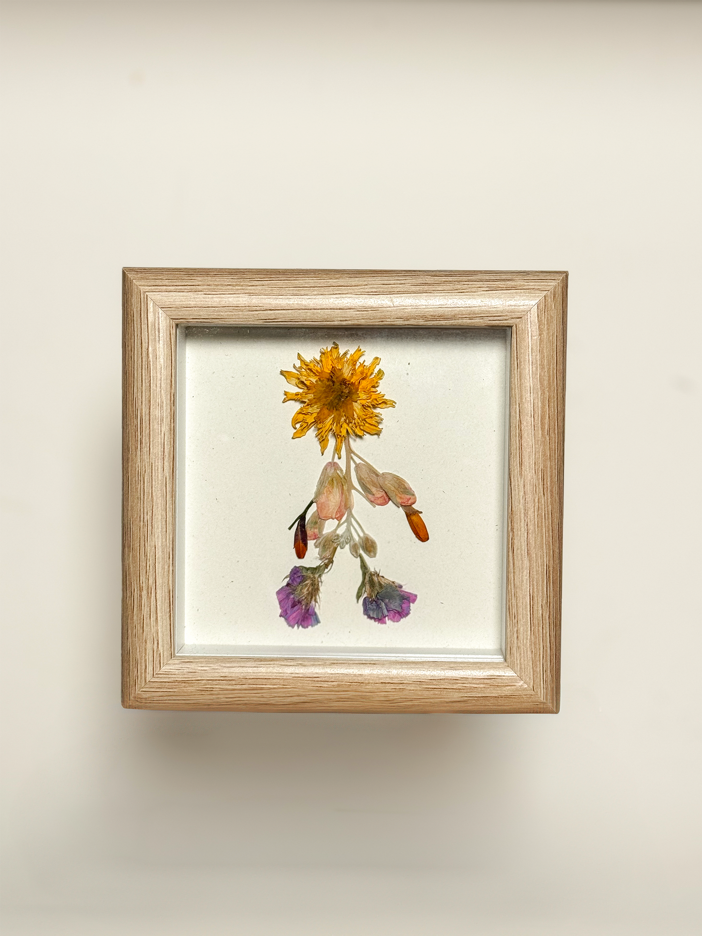Petite Pressed Pixie 001