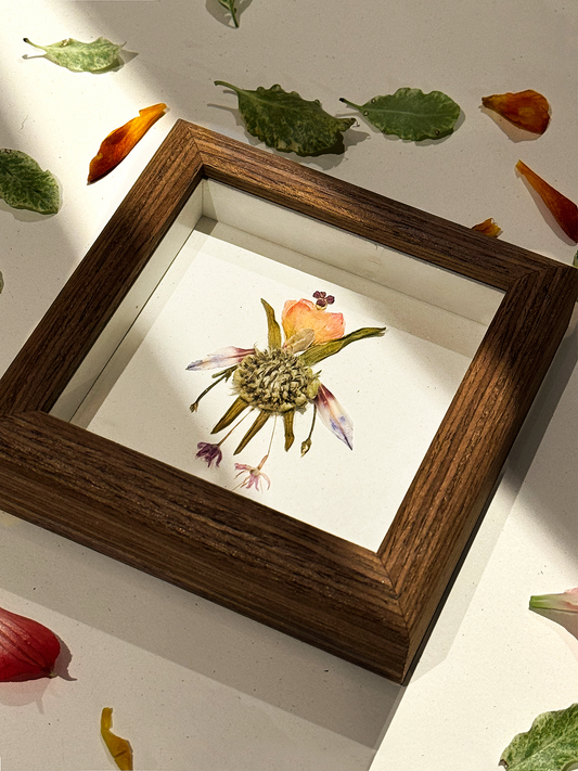 Petite Pressed Pixie 003