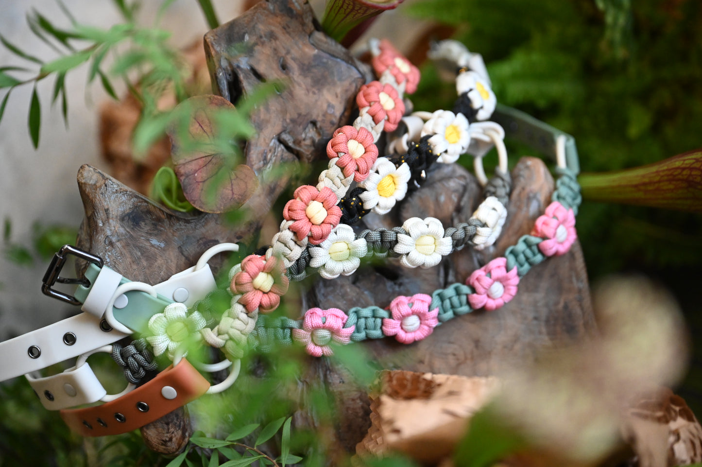 a.corded Flora Collars