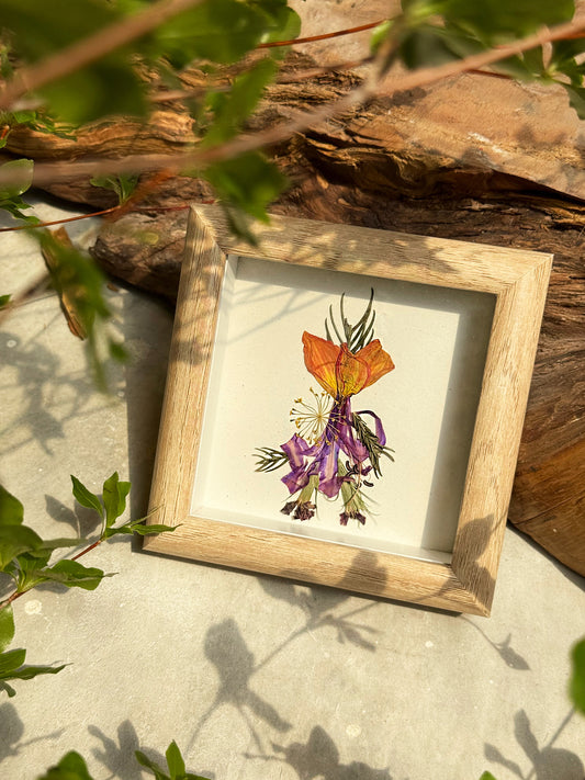 Petite Pressed Pixie 012