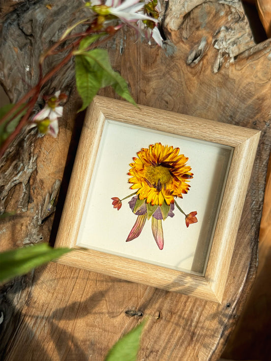 Petite Pressed Pixie 018