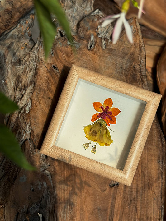 Petite Pressed Pixie 019