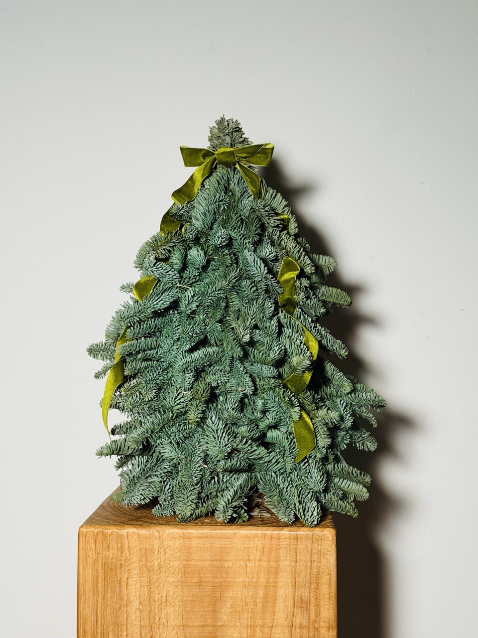 6 Dec Batch - Tree Bébé