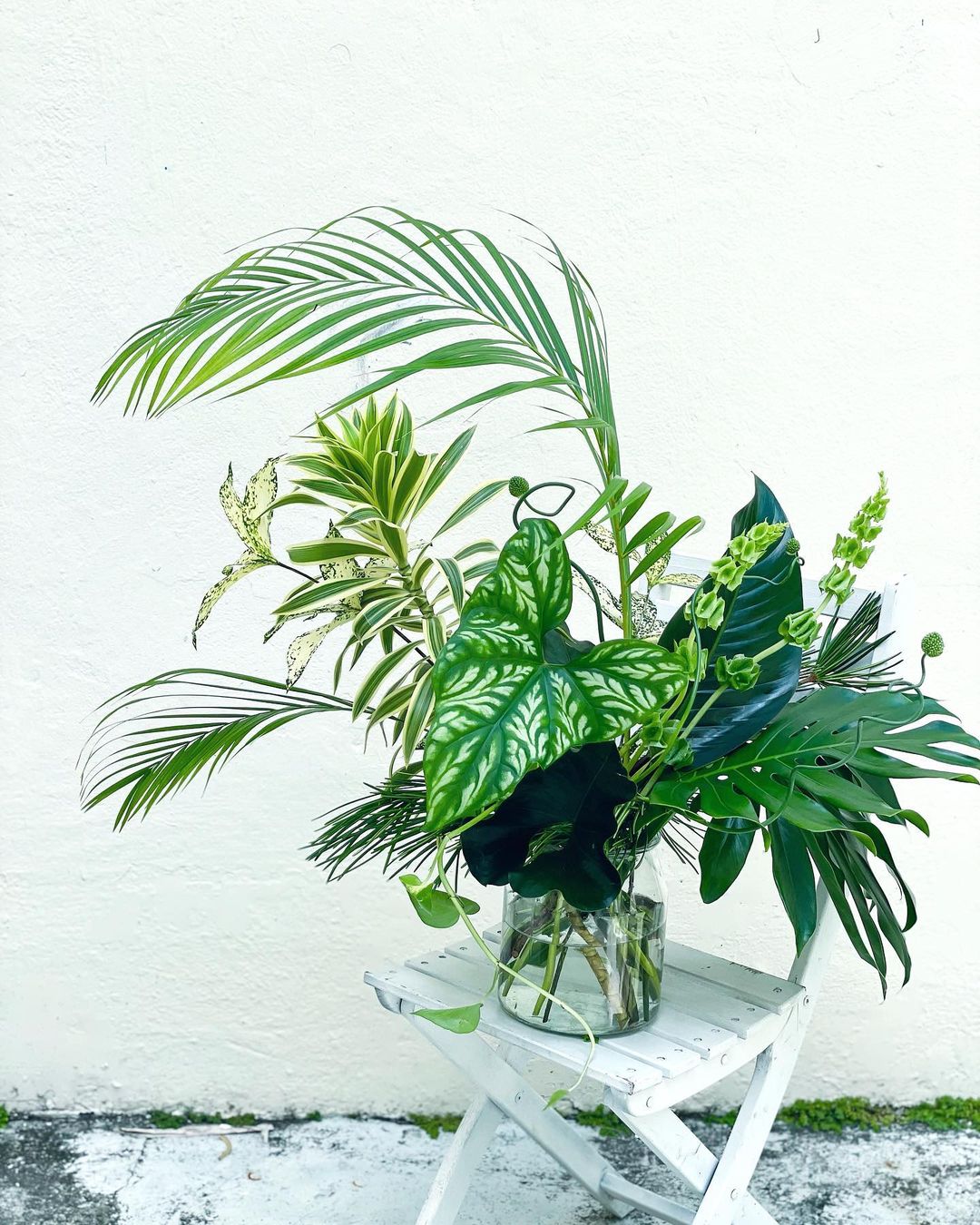 Foliage