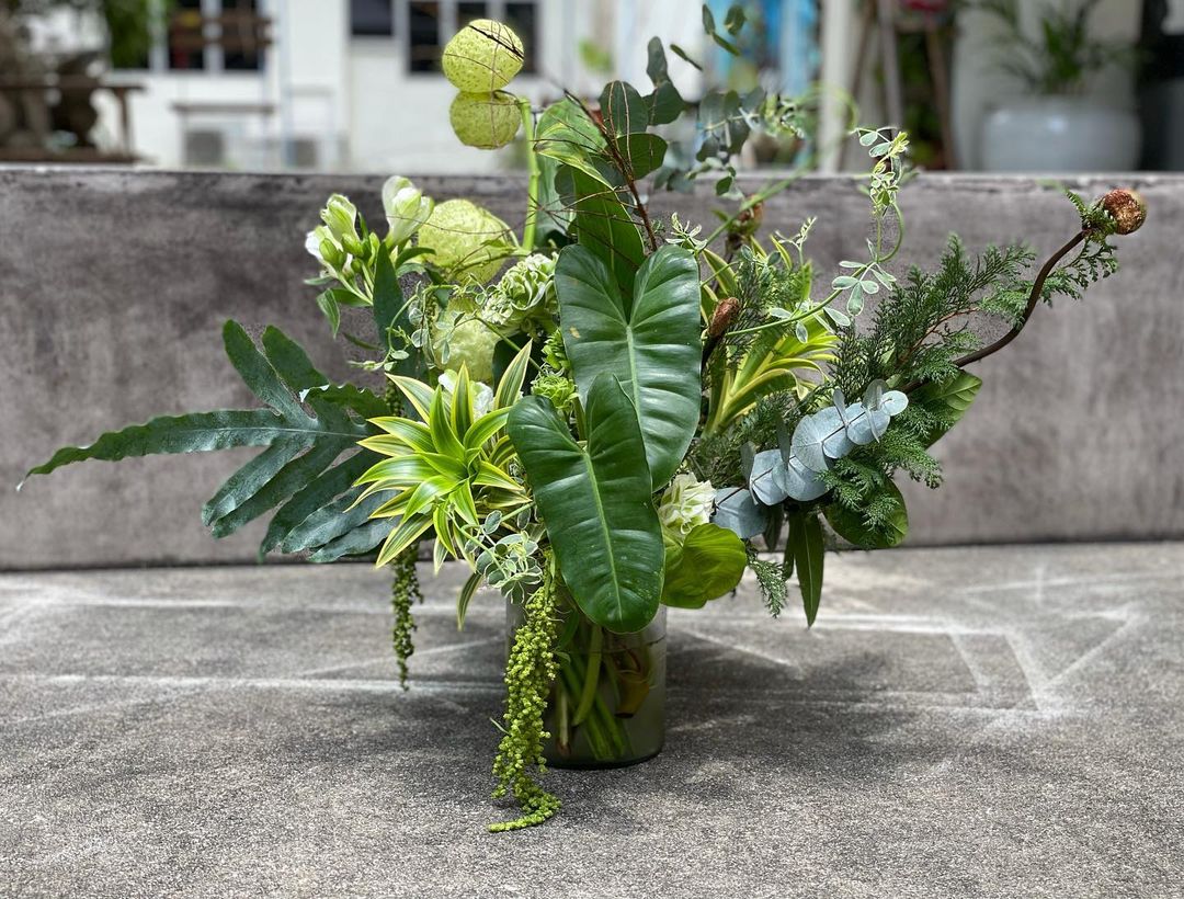 Foliage