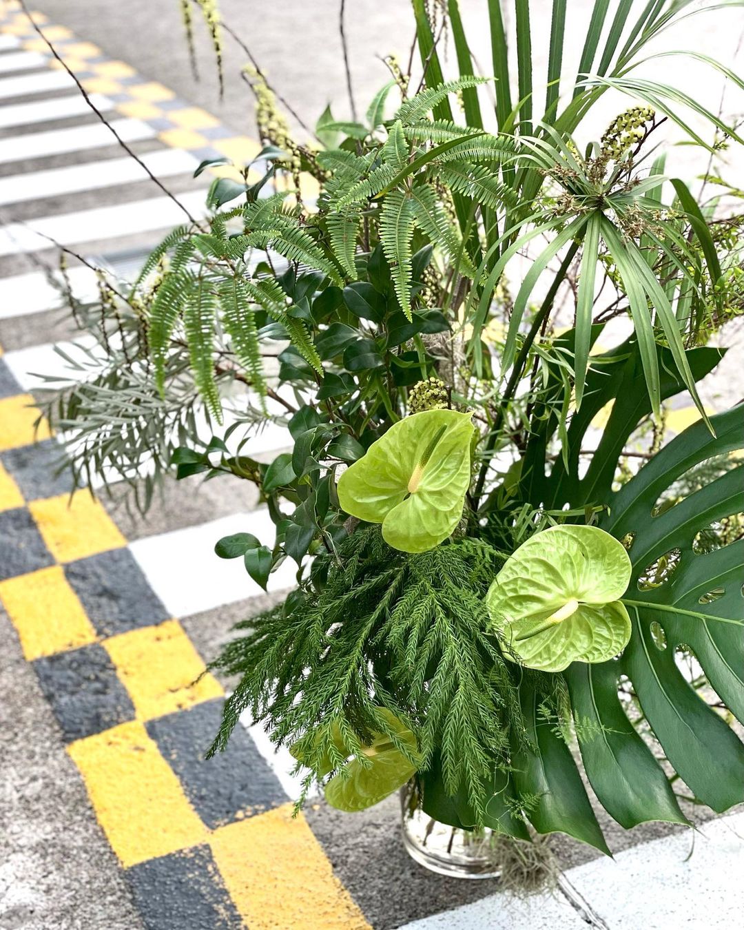 Foliage