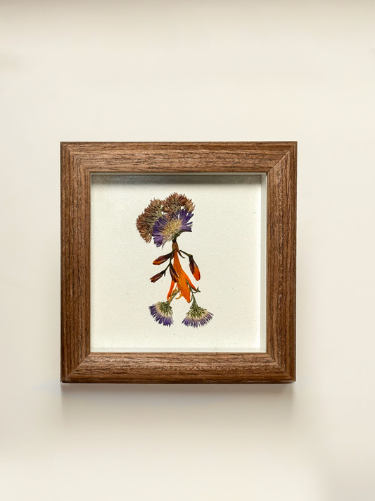 Petite Pressed Pixie 008