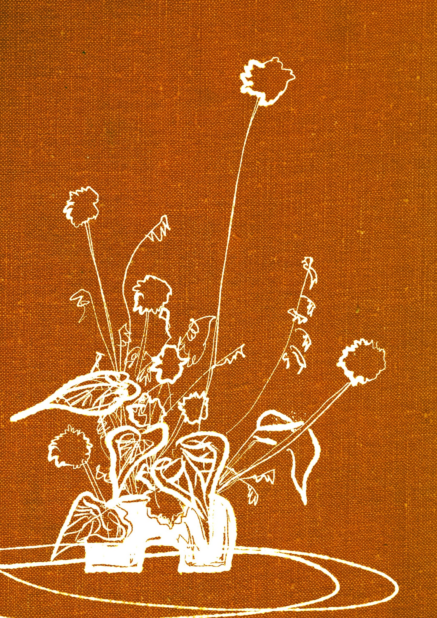 International Women's Day 2026 Postcard Set