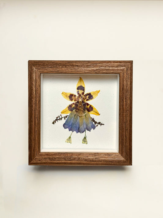 Petite Pressed Pixie 017