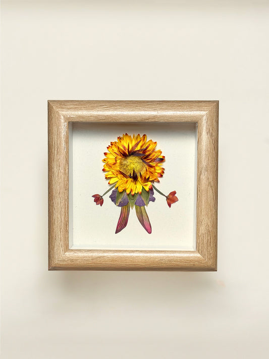 Petite Pressed Pixie 018