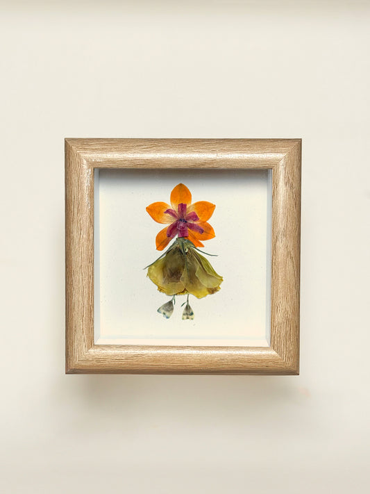 Petite Pressed Pixie 019