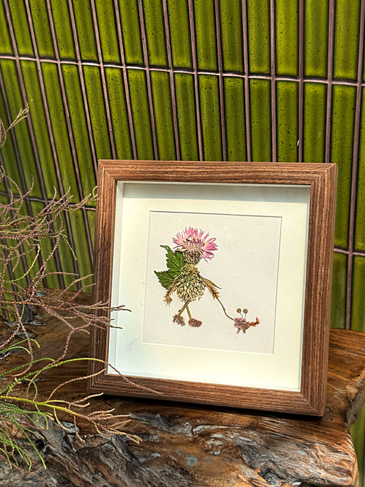 Petite Pressed Pixie 026
