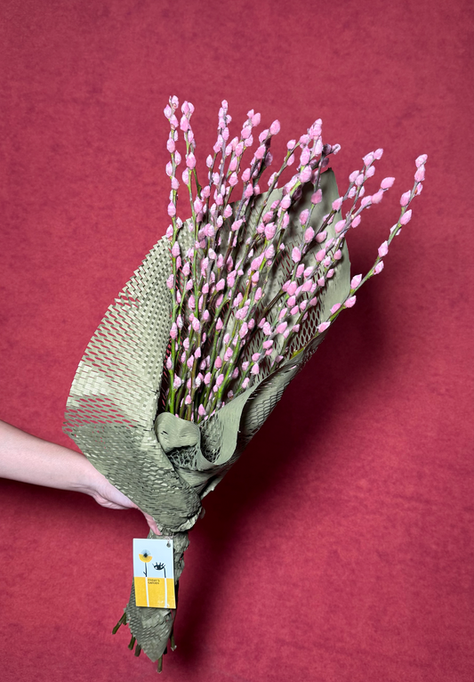 Pussy Willow - Baby Pink