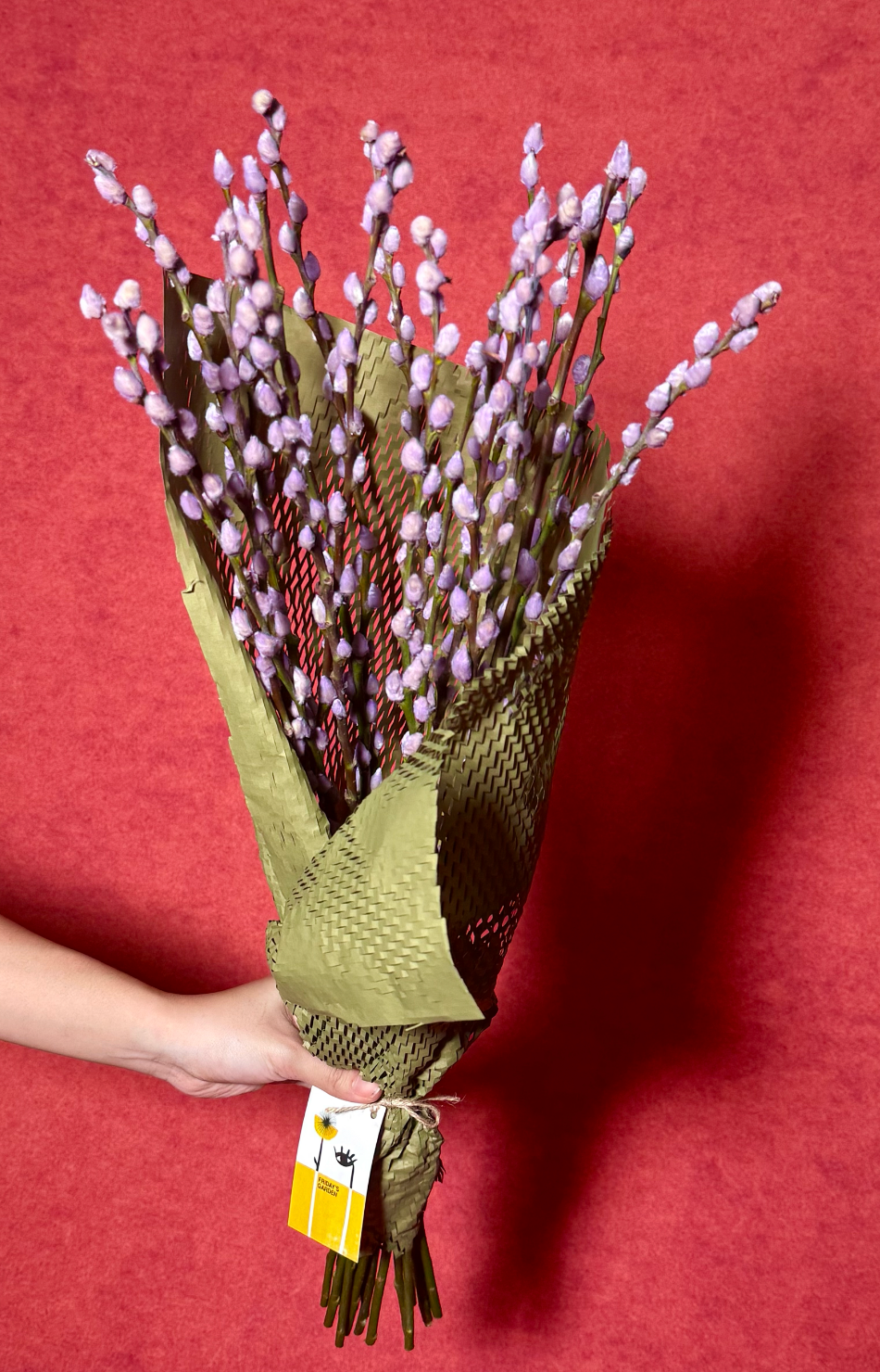 Pussy Willow - Lilac