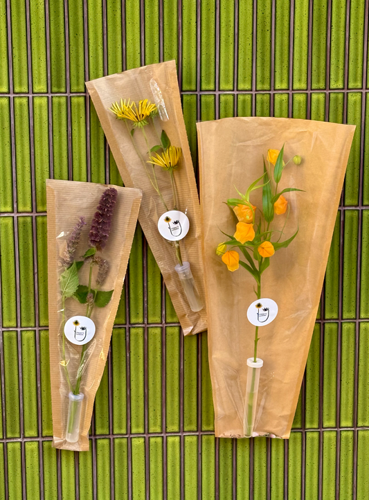 Teacher's Day Trio - Omakase Stems
