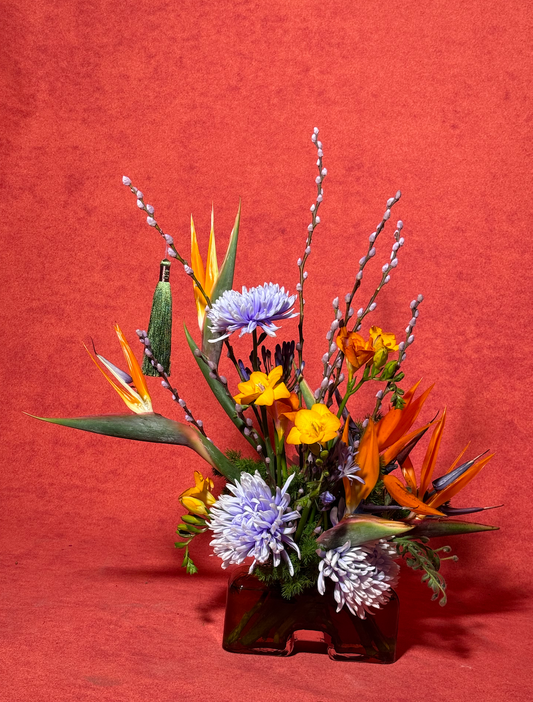 The Horse and the Swallow