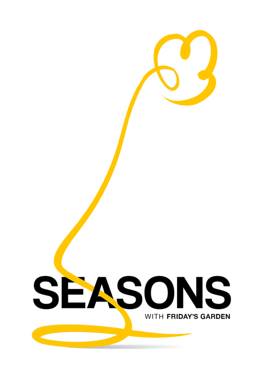 Seasons (Sep-Nov 2025)