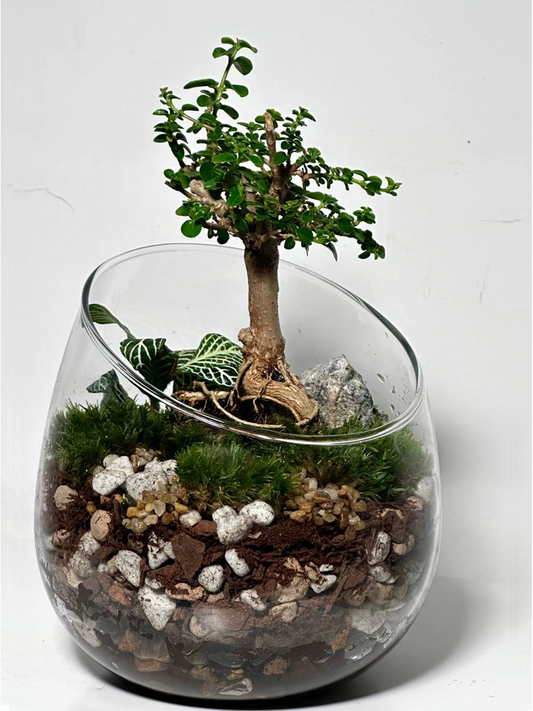 Micro Worlds