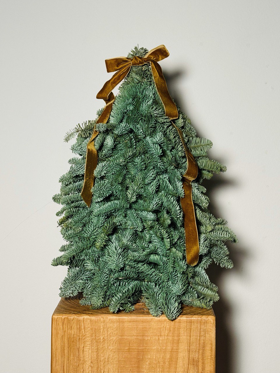 6 Dec Batch - Tree Bébé