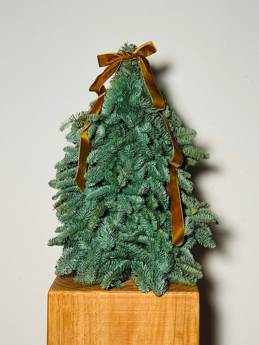 6 Dec Batch - Tree Bébé