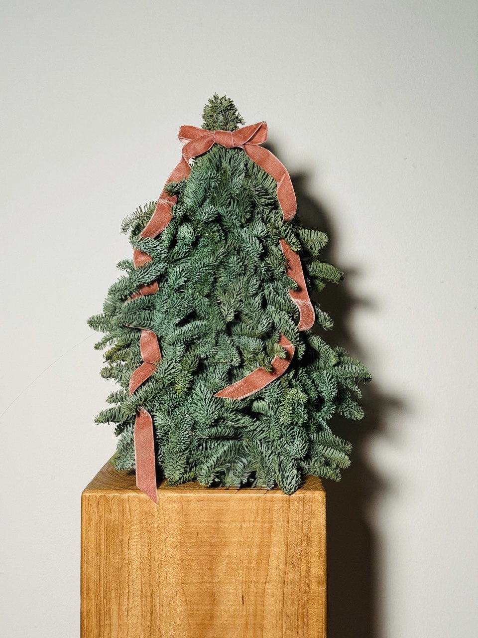 6 Dec Batch - Tree Bébé