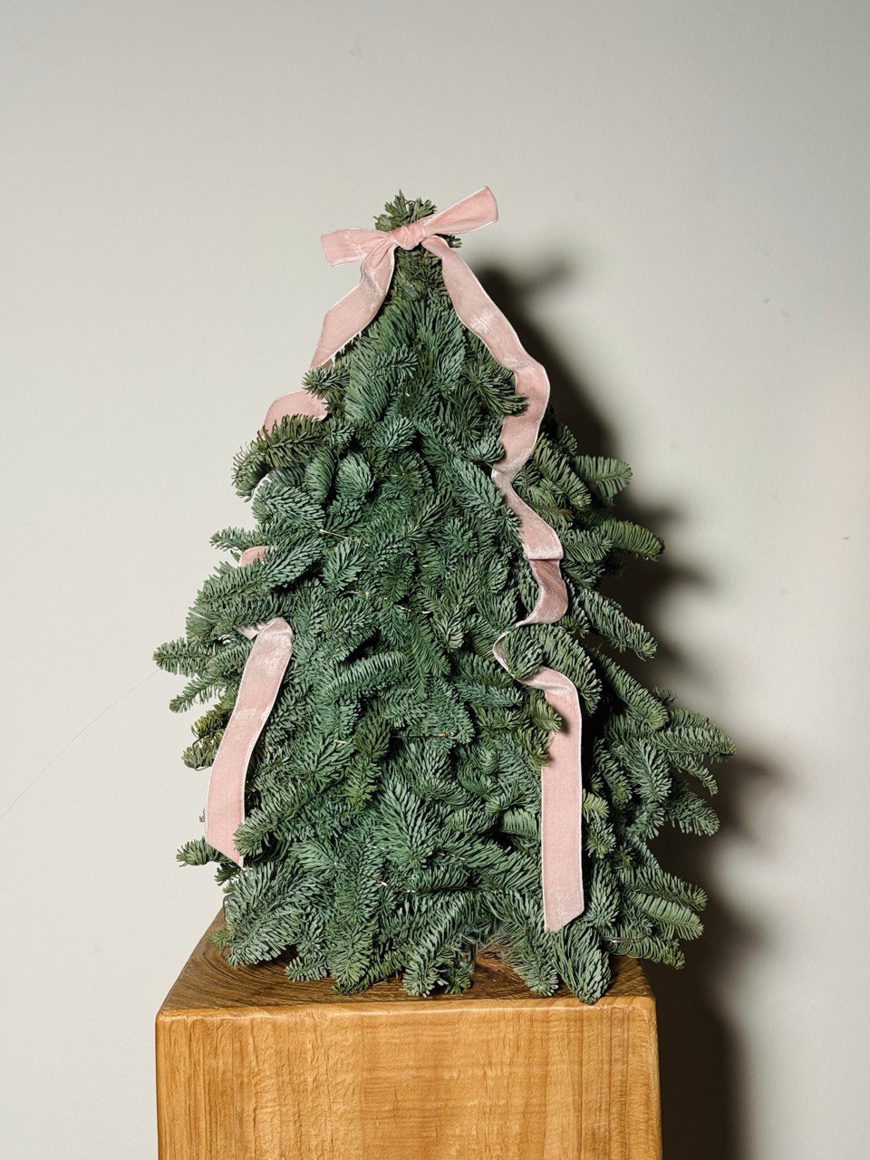 6 Dec Batch - Tree Bébé