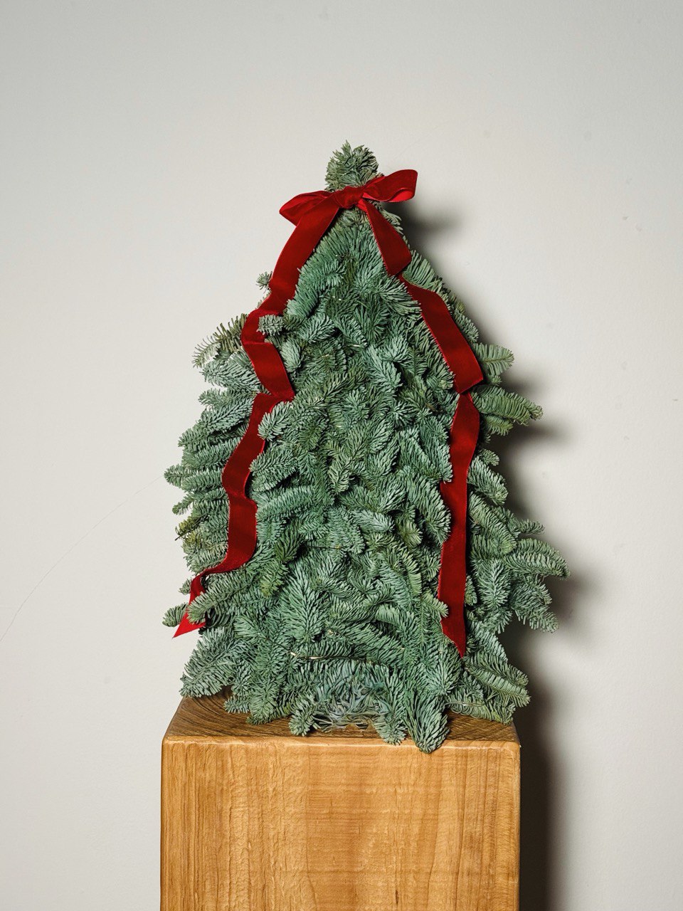 6 Dec Batch - Tree Bébé